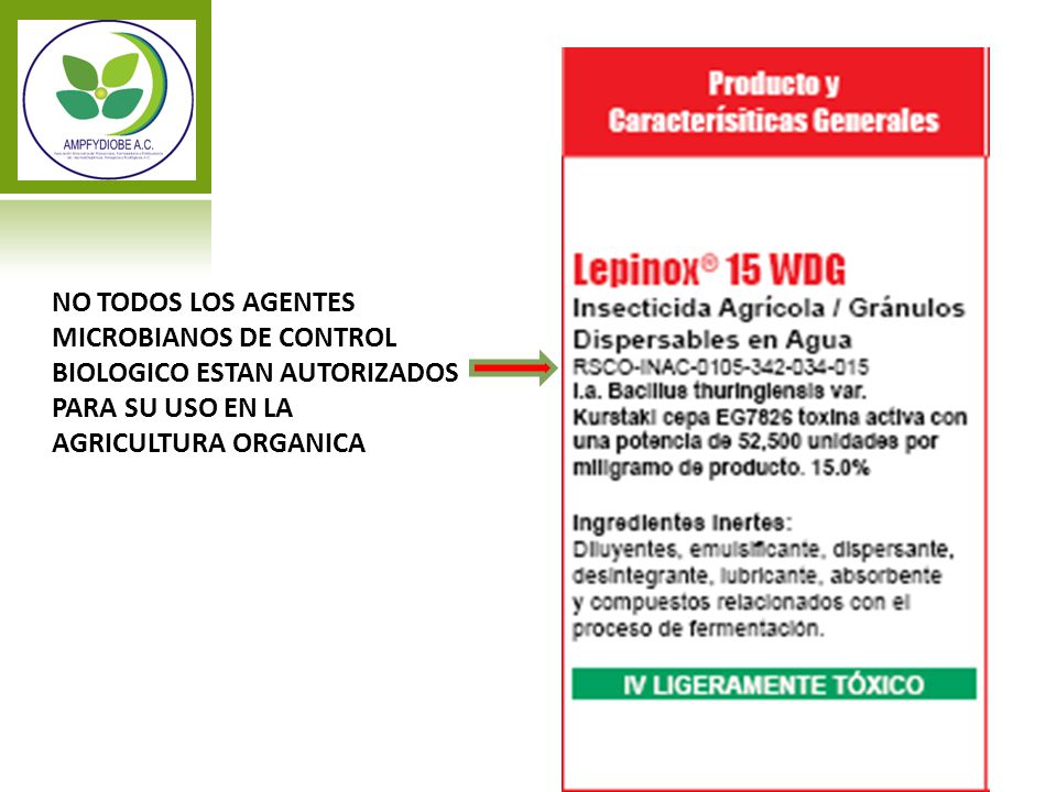 NO TODOS LOS AGENTES MICROBIANOS DE CONTROL BIOLOGICO ESTAN AUTORIZADOS PARA SU USO EN LA AGRICULTURA ORGANICA
