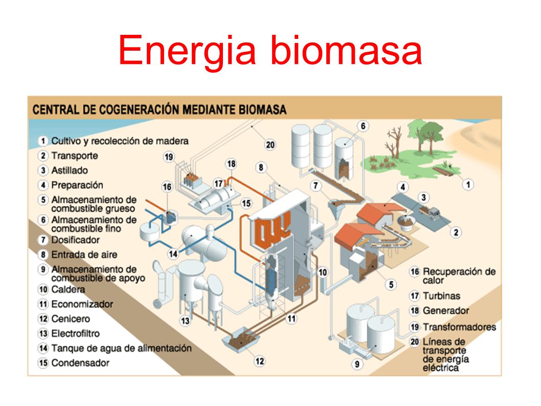 Energia biomasa