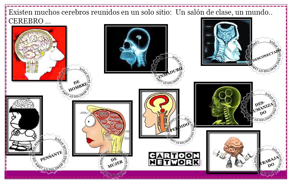 Existen muchos cerebros reunidos en un solo sitio: Un salón de clase, un mundo..