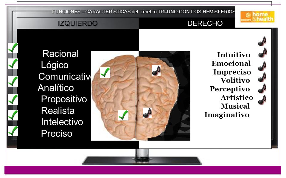 FUNCIONES – CARACTERÍSTICAS del cerebro TRI-UNO CON DOS HEMISFERIOS