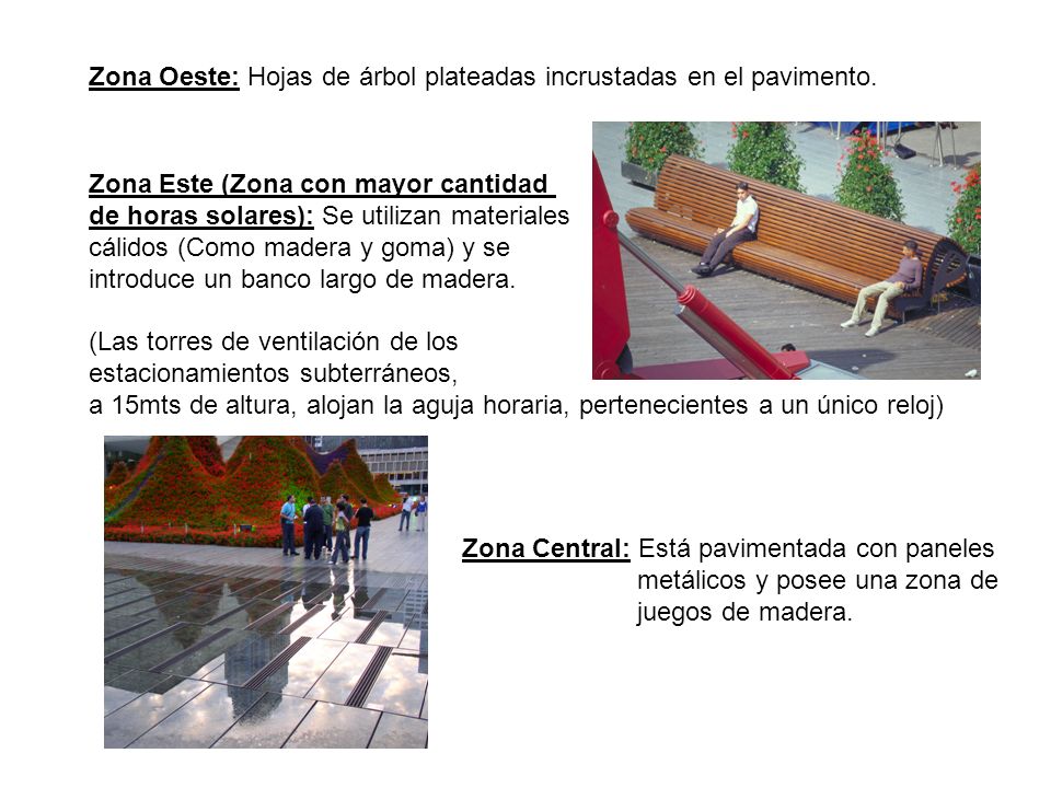 Zona Oeste: Hojas de árbol plateadas incrustadas en el pavimento.