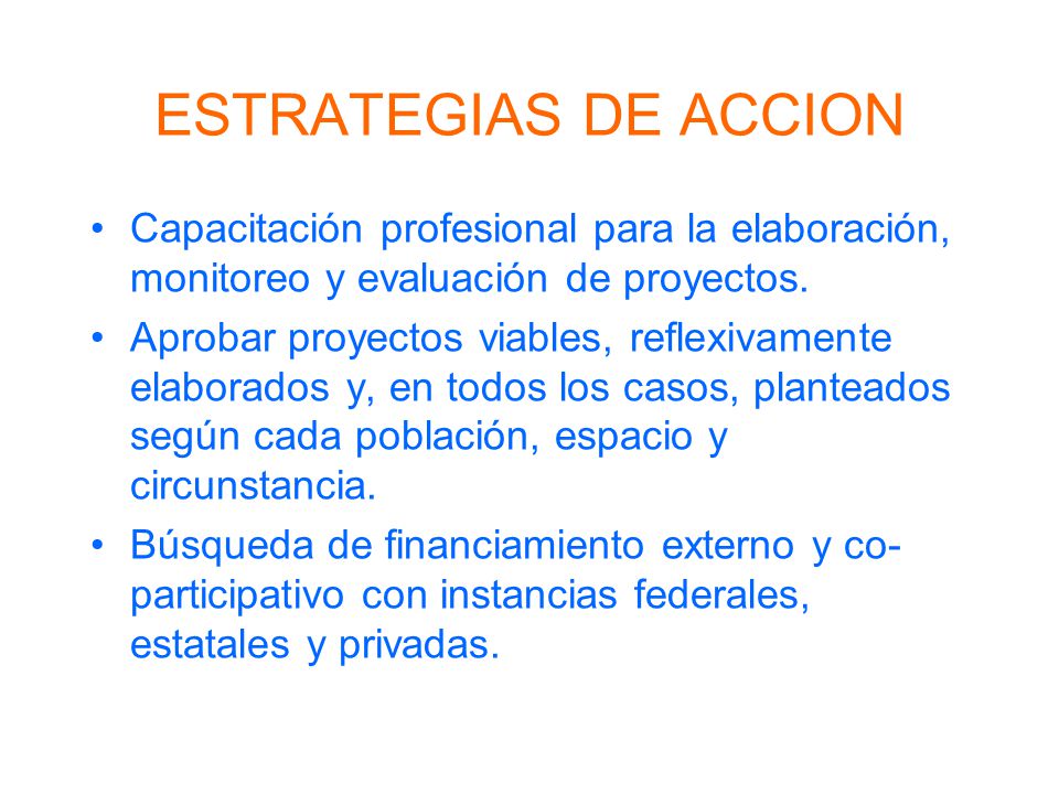 ESTRATEGIAS DE ACCION Capacitación profesional para la elaboración, monitoreo y evaluación de proyectos.