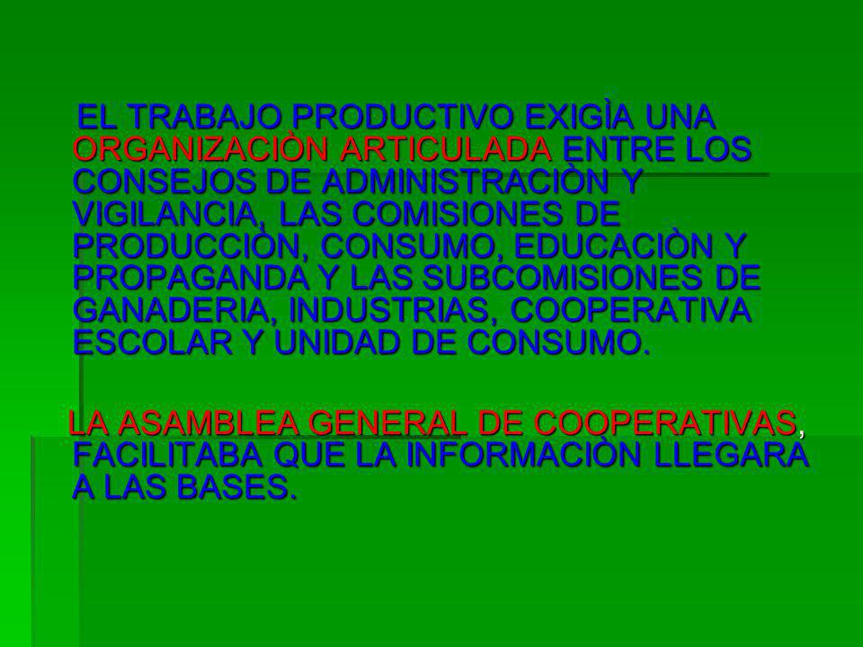 EL TRABAJO PRODUCTIVO EXIGÌA UNA ORGANIZACIÒN ARTICULADA ENTRE LOS CONSEJOS DE ADMINISTRACIÒN Y VIGILANCIA, LAS COMISIONES DE PRODUCCIÒN, CONSUMO, EDUCACIÒN Y PROPAGANDA Y LAS SUBCOMISIONES DE GANADERIA, INDUSTRIAS, COOPERATIVA ESCOLAR Y UNIDAD DE CONSUMO.