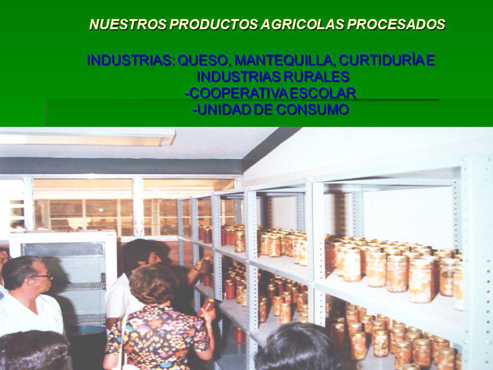 NUESTROS PRODUCTOS AGRICOLAS PROCESADOS