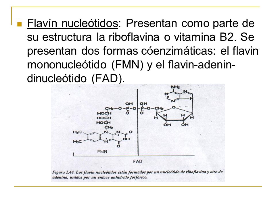 Flavín nucleótidos: Presentan como parte de su estructura la riboflavina o vitamina B2.