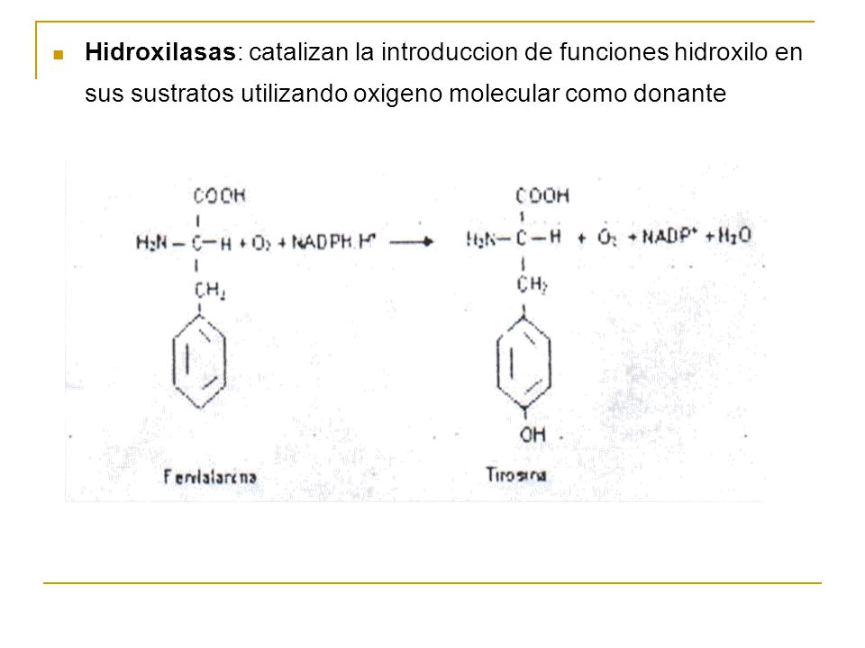 Hidroxilasas: catalizan la introduccion de funciones hidroxilo en sus sustratos utilizando oxigeno molecular como donante