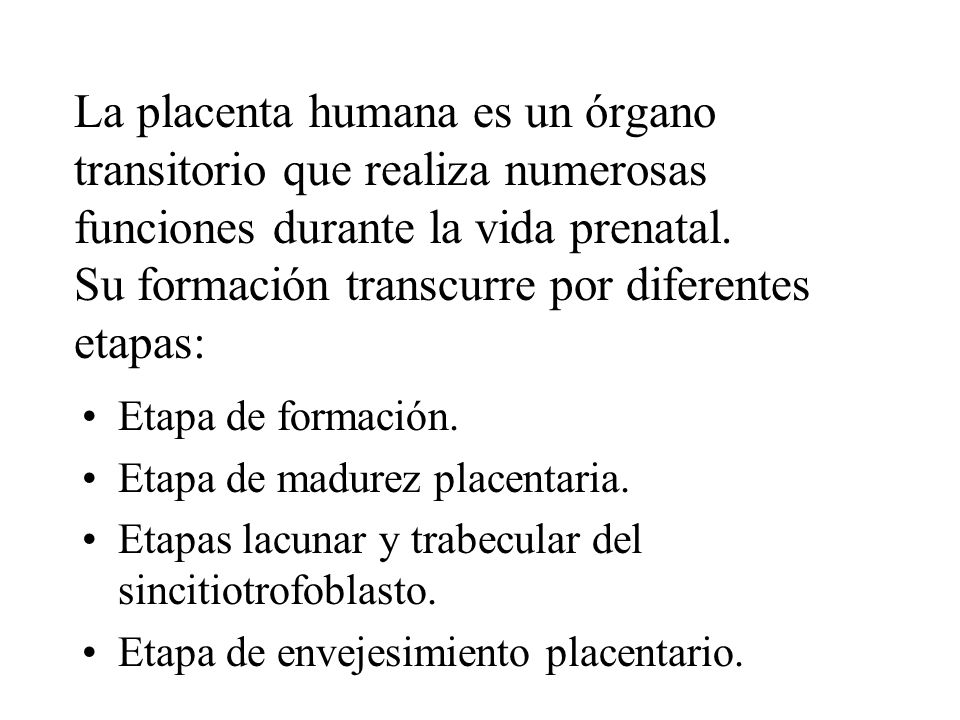 La placenta humana es un órgano transitorio que realiza numerosas funciones durante la vida prenatal. Su formación transcurre por diferentes etapas: