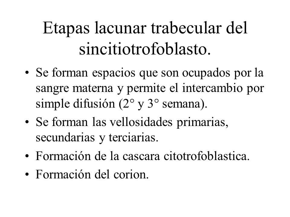 Etapas lacunar trabecular del sincitiotrofoblasto.