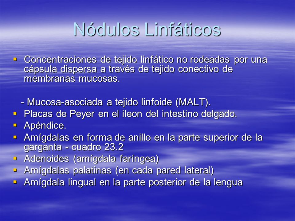 Nódulos Linfáticos Concentraciones de tejido linfático no rodeadas por una cápsula dispersa a través de tejido conectivo de membranas mucosas.