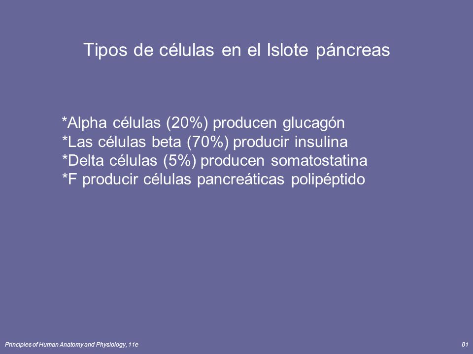 Tipos de células en el Islote páncreas