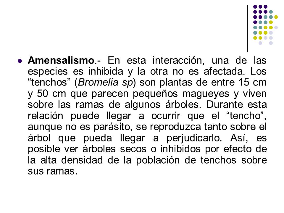 Amensalismo.- En esta interacción, una de las especies es inhibida y la otra no es afectada.