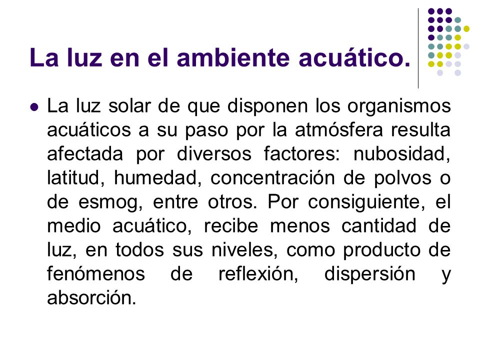 La luz en el ambiente acuático.