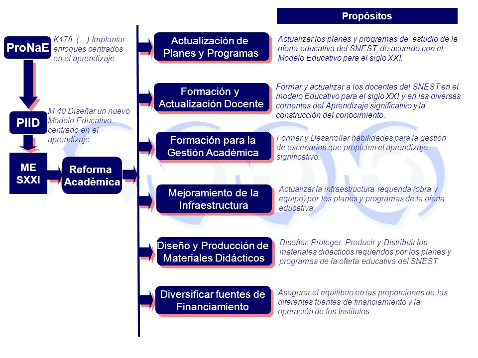 ProNaE PIID Actualización de Planes y Programas Formación y