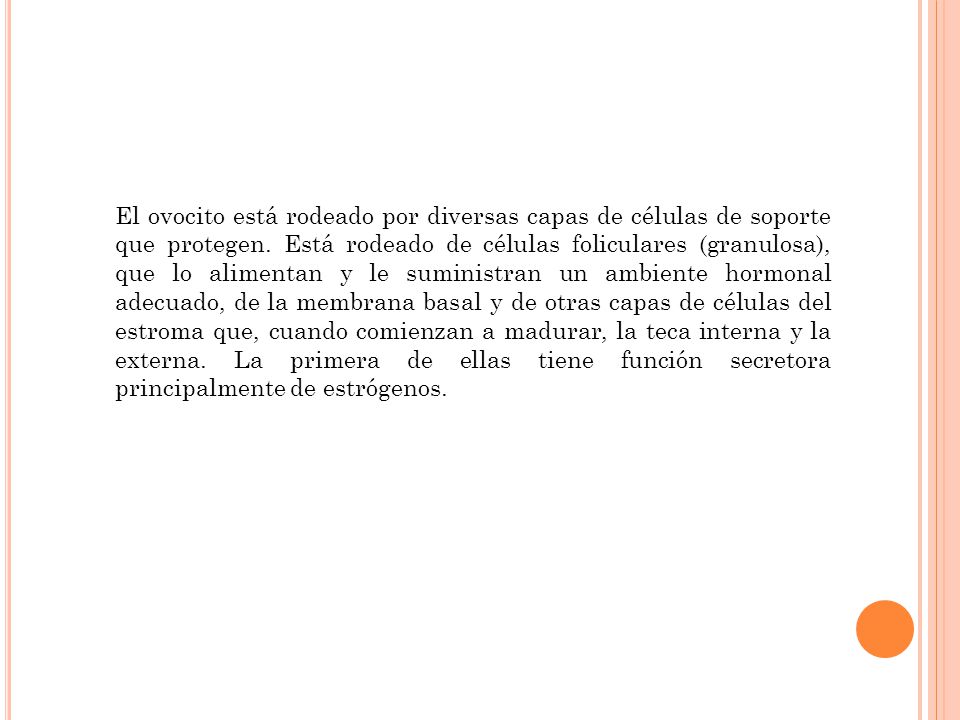 El ovocito está rodeado por diversas capas de células de soporte que protegen.
