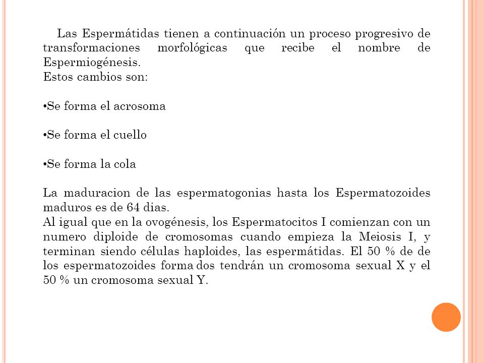 Las Espermátidas tienen a continuación un proceso progresivo de transfor­maciones morfológicas que recibe el nombre de Espermiogénesis.