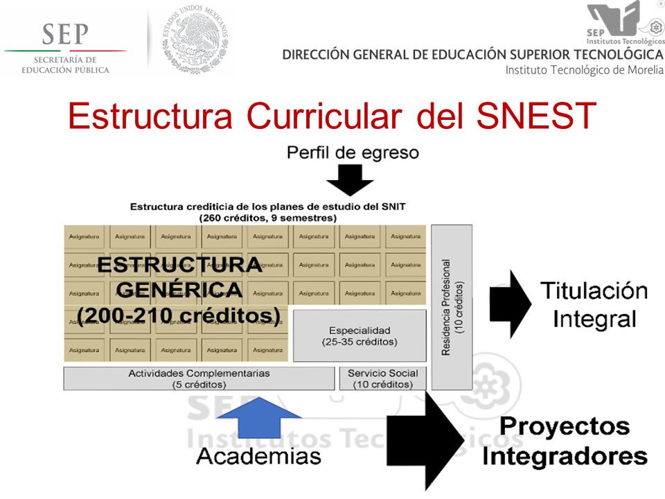 Estructura Curricular del SNEST