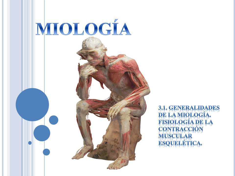MIOLOGÍA 3.1. GENERALIDADES DE LA MIOLOGÍA. FISIOLOGÍA DE LA CONTRACCIÓN MUSCULAR ESQUELÉTICA.