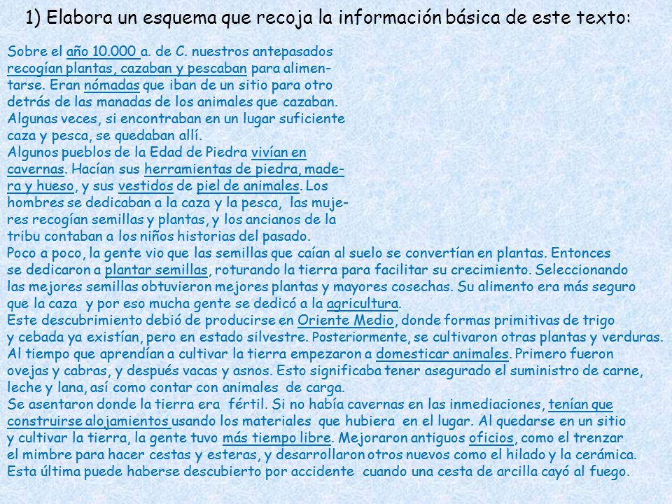 1) Elabora un esquema que recoja la información básica de este texto: