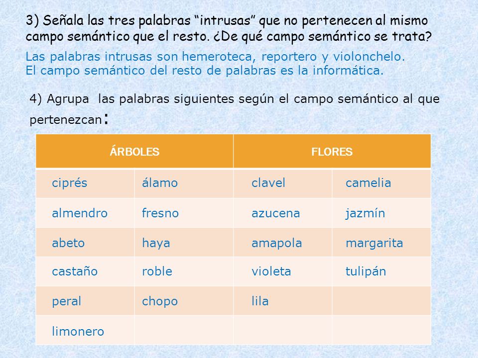 3) Señala las tres palabras intrusas que no pertenecen al mismo campo semántico que el resto. ¿De qué campo semántico se trata