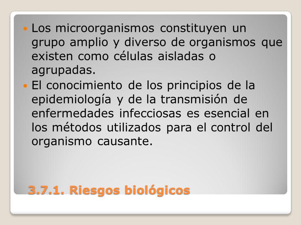 Los microorganismos constituyen un grupo amplio y diverso de organismos que existen como células aisladas o agrupadas.