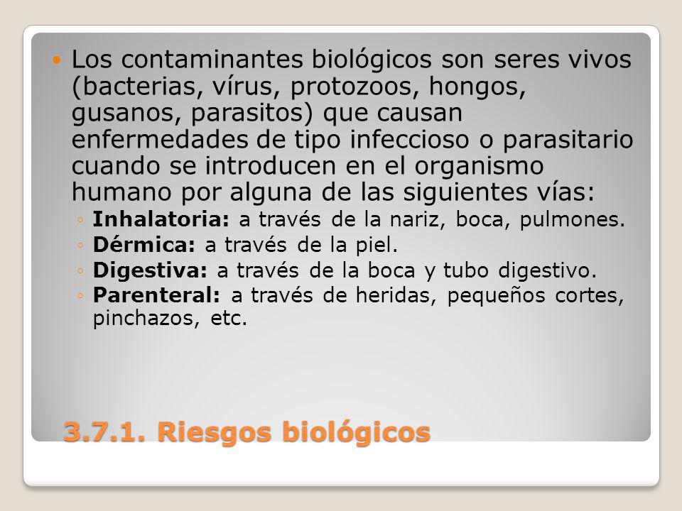 Los contaminantes biológicos son seres vivos (bacterias, vírus, protozoos, hongos, gusanos, parasitos) que causan enfermedades de tipo infeccioso o parasitario cuando se introducen en el organismo humano por alguna de las siguientes vías: