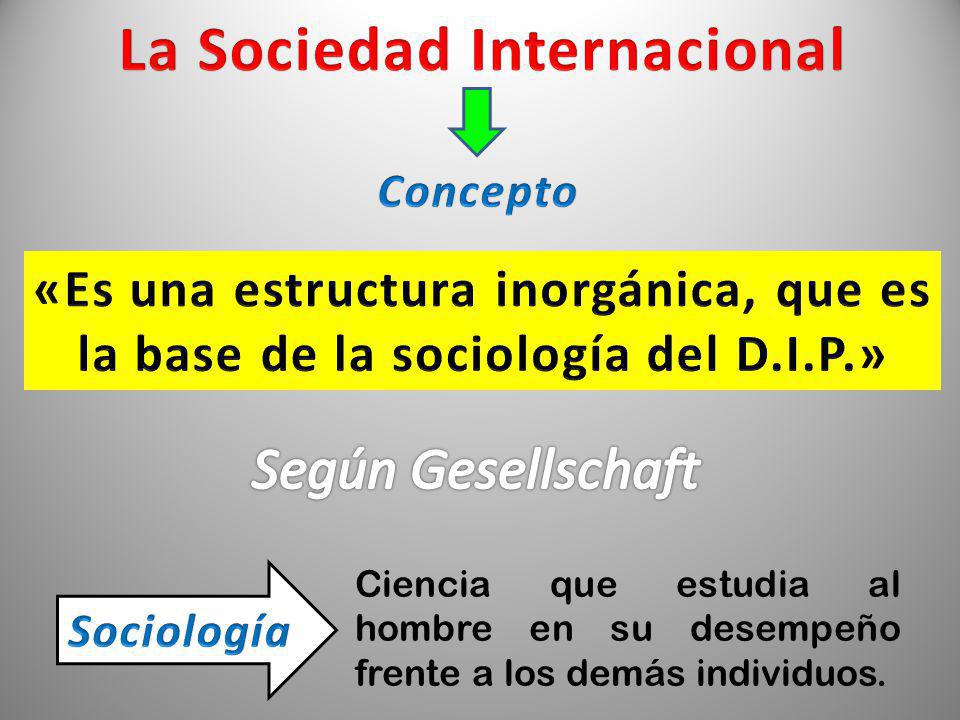 La Sociedad Internacional