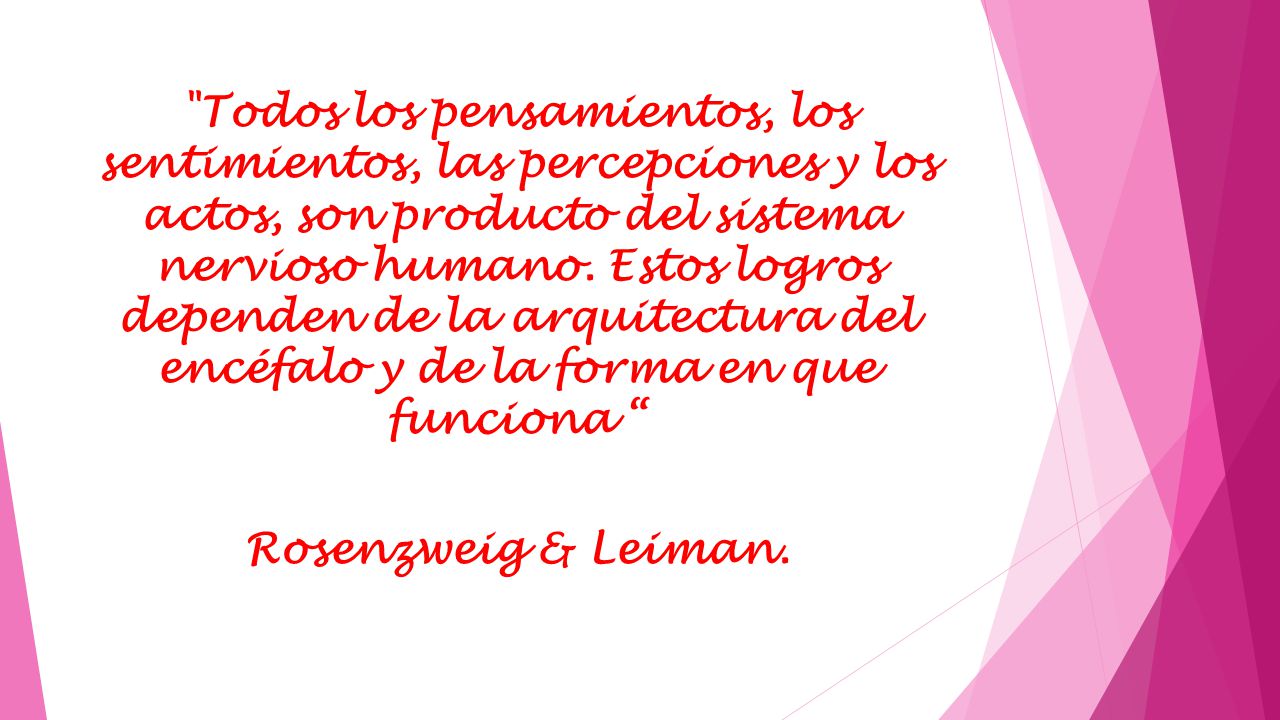 Todos los pensamientos, los sentimientos, las percepciones y los actos, son producto del sistema nervioso humano.