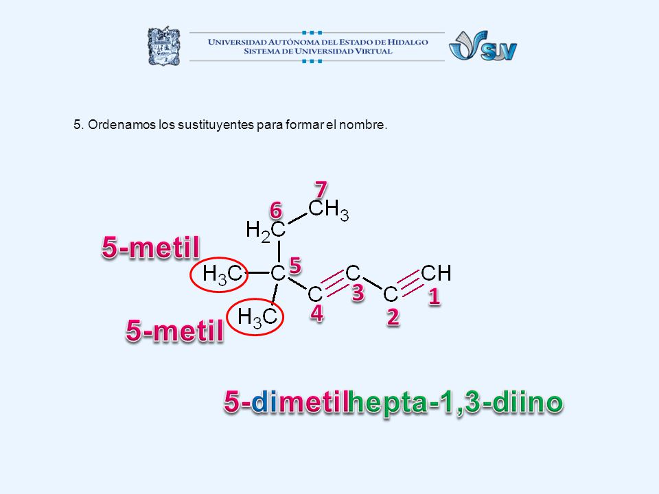 5-metil 5-metil 5-dimetil hepta-1,3-diino