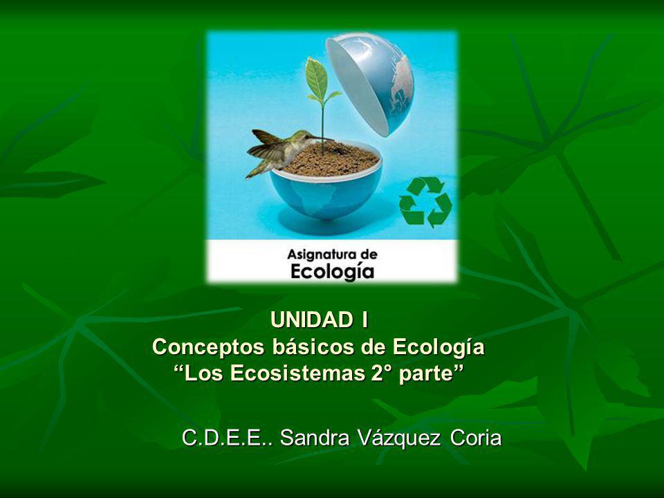 UNIDAD I Conceptos básicos de Ecología Los Ecosistemas 2° parte
