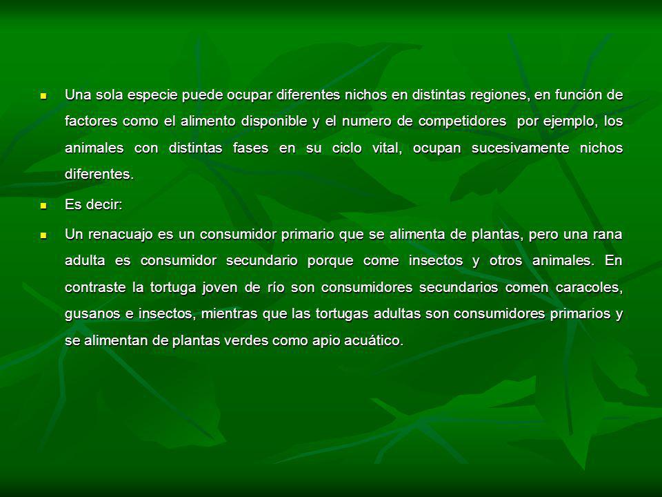 Una sola especie puede ocupar diferentes nichos en distintas regiones, en función de factores como el alimento disponible y el numero de competidores por ejemplo, los animales con distintas fases en su ciclo vital, ocupan sucesivamente nichos diferentes.
