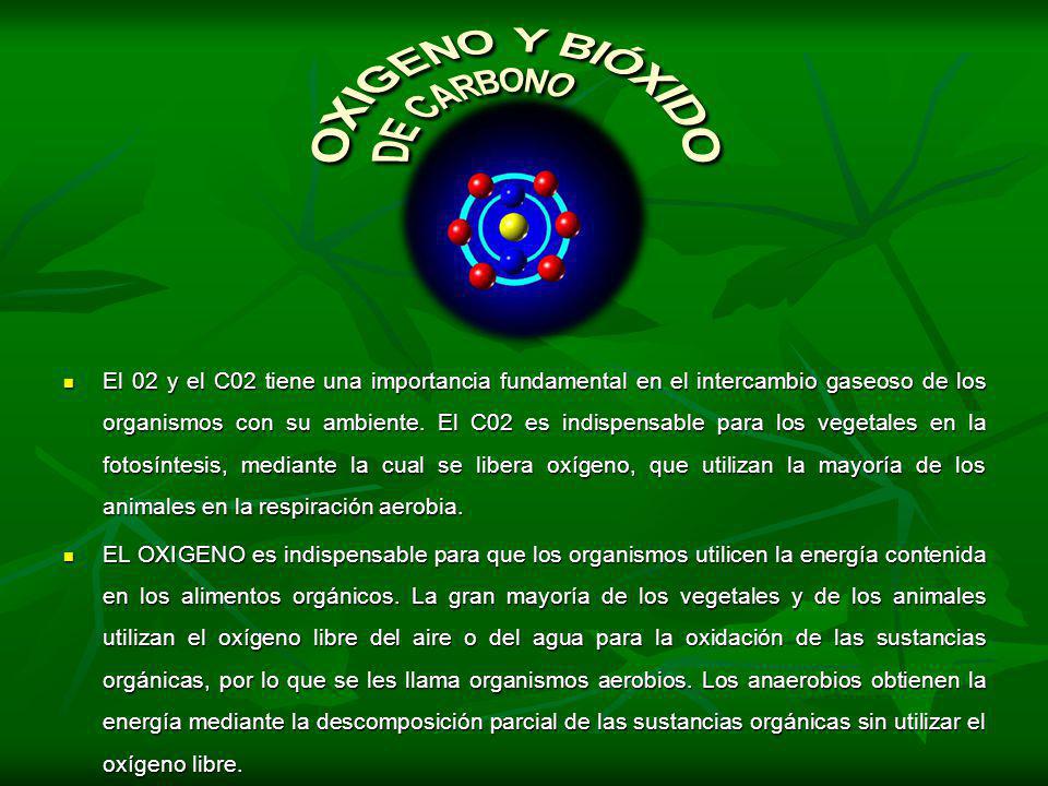 OXIGENO Y BIÓXIDO DE CARBONO