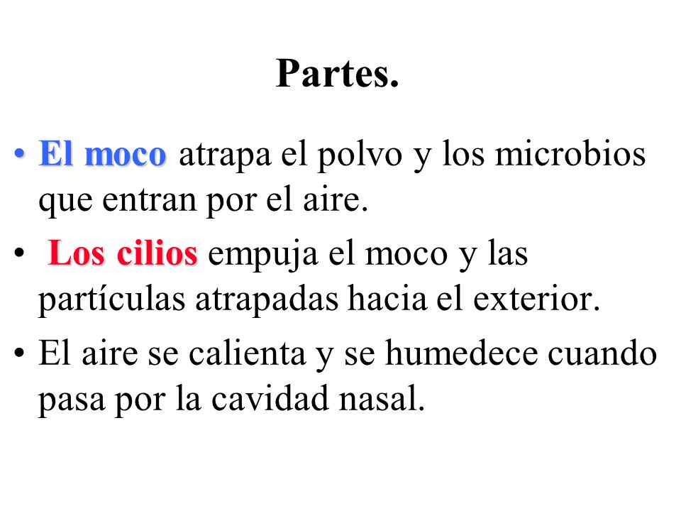 Partes. El moco atrapa el polvo y los microbios que entran por el aire. Los cilios empuja el moco y las partículas atrapadas hacia el exterior.