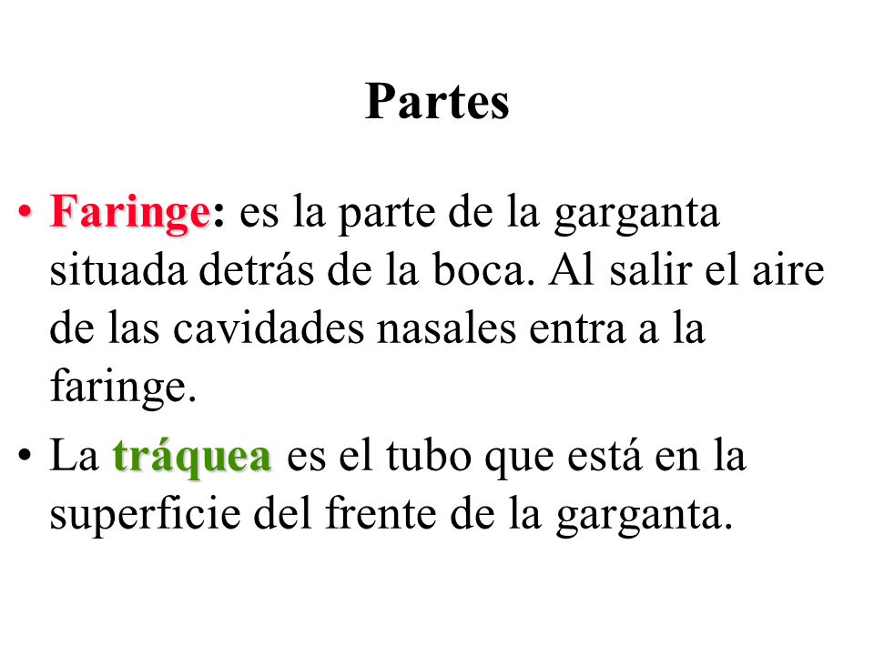 Partes Faringe: es la parte de la garganta situada detrás de la boca. Al salir el aire de las cavidades nasales entra a la faringe.