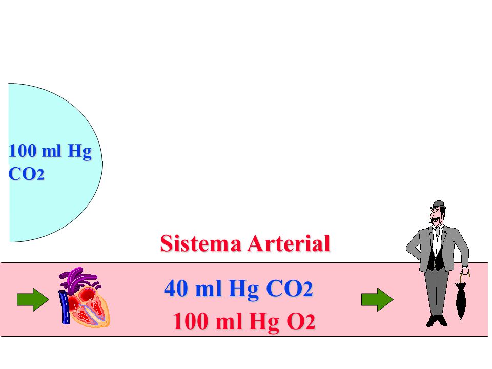 100 ml Hg CO2 Sistema Arterial 40 ml Hg CO2 100 ml Hg O2