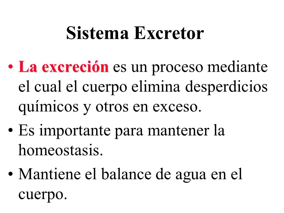 Sistema Excretor La excreción es un proceso mediante el cual el cuerpo elimina desperdicios químicos y otros en exceso.