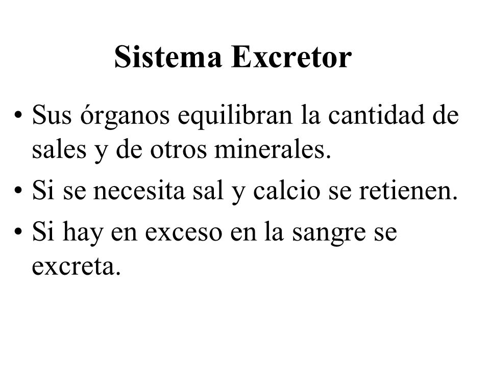 Sistema Excretor Sus órganos equilibran la cantidad de sales y de otros minerales. Si se necesita sal y calcio se retienen.