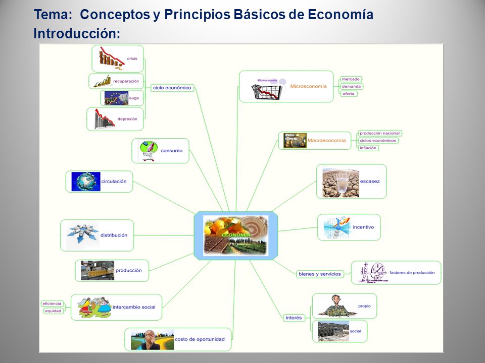 Tema: Conceptos y Principios Básicos de Economía