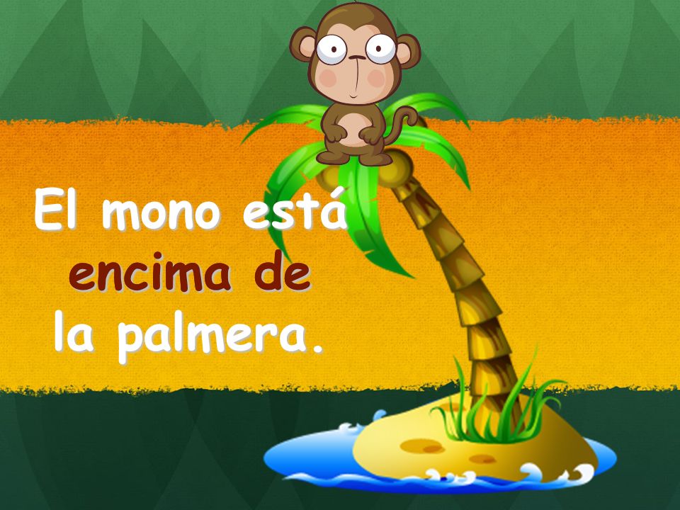 El mono está encima de la palmera. encima de