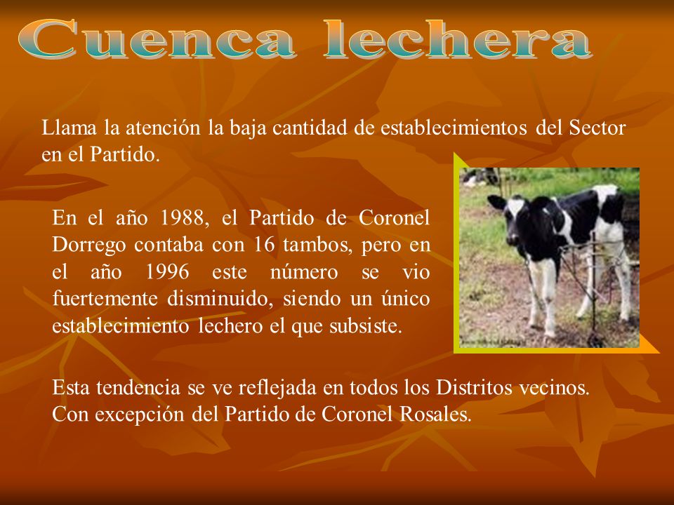 Cuenca lechera Llama la atención la baja cantidad de establecimientos del Sector en el Partido.