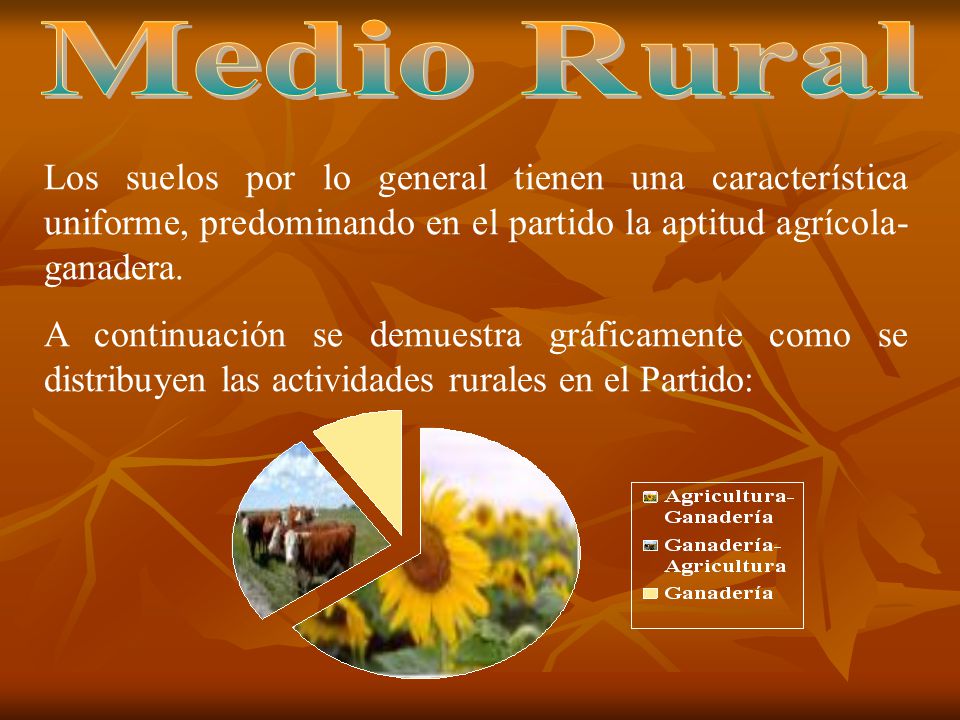 Medio Rural Los suelos por lo general tienen una característica uniforme, predominando en el partido la aptitud agrícola-ganadera.