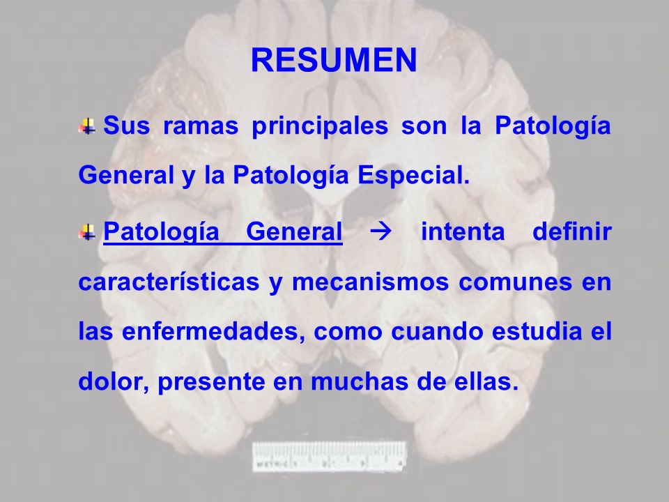 RESUMEN Sus ramas principales son la Patología General y la Patología Especial.