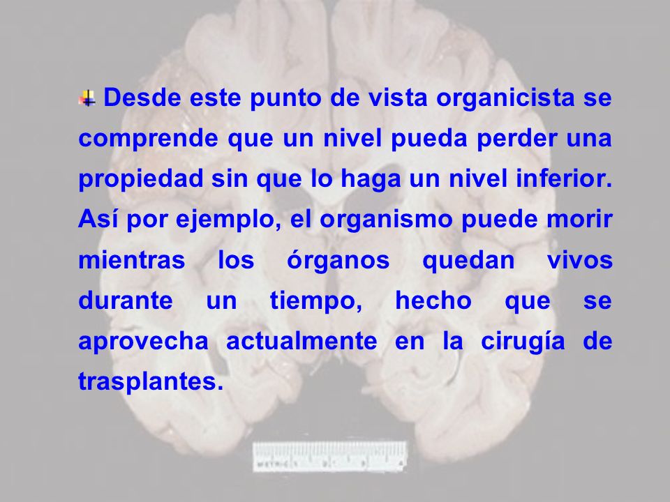 Desde este punto de vista organicista se comprende que un nivel pueda perder una propiedad sin que lo haga un nivel inferior.