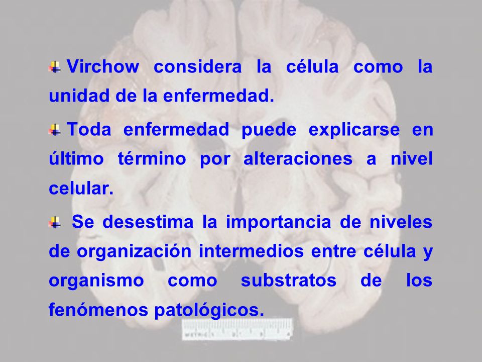 Virchow considera la célula como la unidad de la enfermedad.