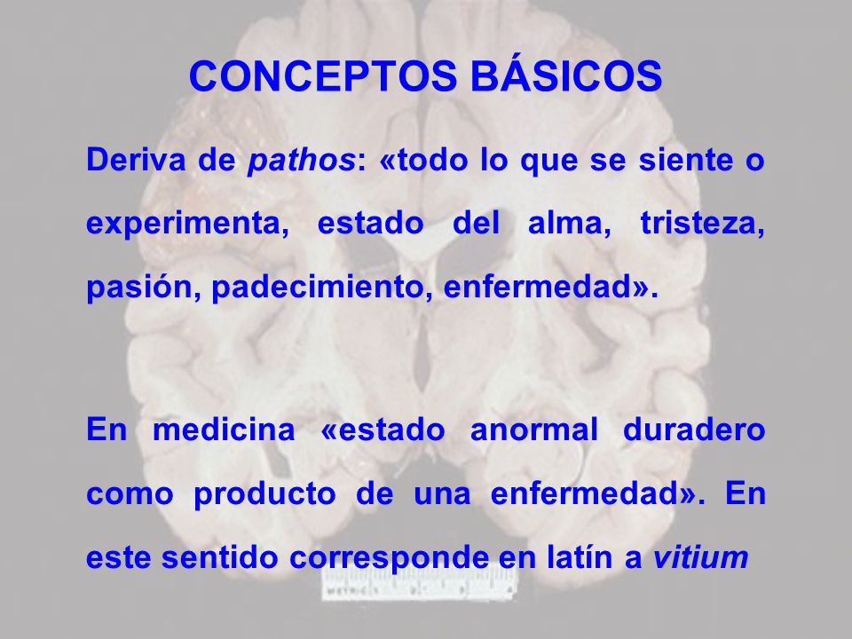 CONCEPTOS BÁSICOS Deriva de pathos: «todo lo que se siente o experimenta, estado del alma, tristeza, pasión, padecimiento, enfermedad».