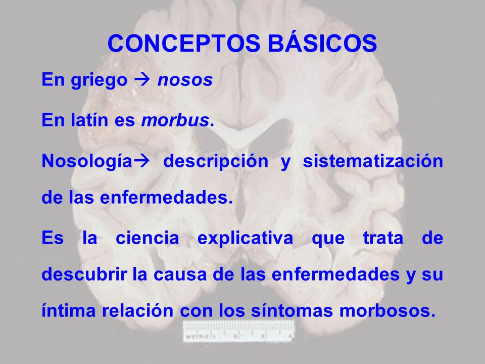 CONCEPTOS BÁSICOS En griego  nosos En latín es morbus.