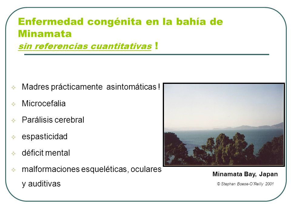 Enfermedad congénita en la bahía de Minamata sin referencias cuantitativas !