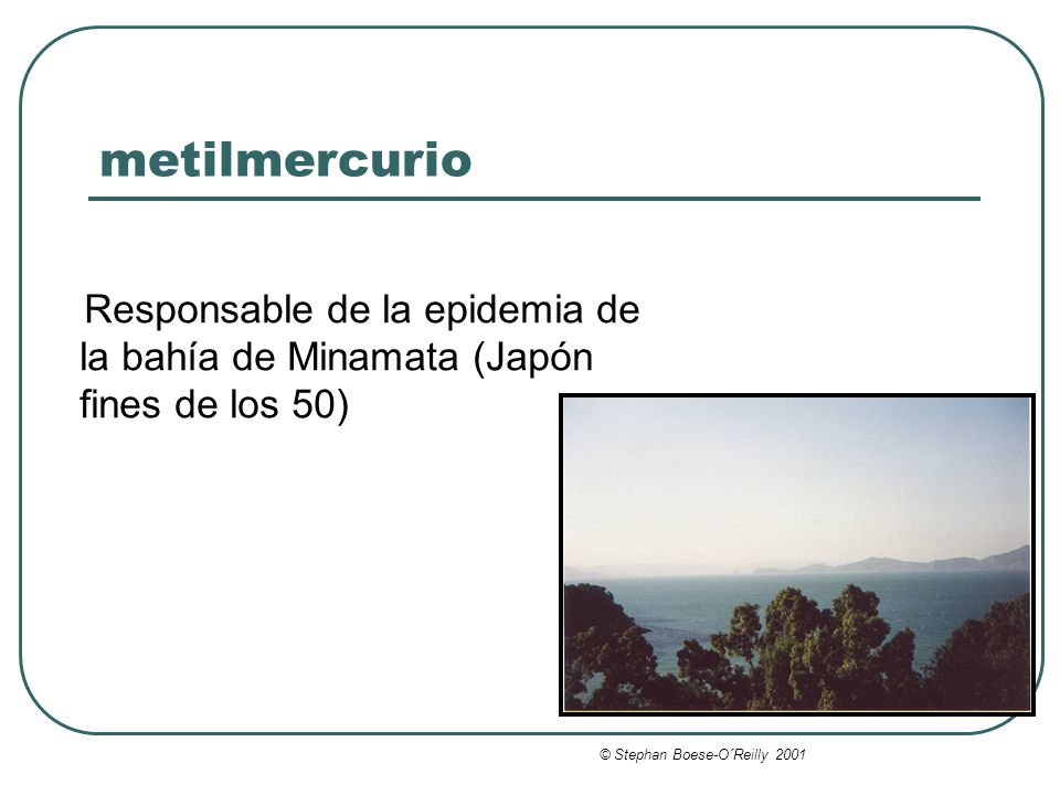 metilmercurio Responsable de la epidemia de la bahía de Minamata (Japón fines de los 50) © Stephan Boese-O´Reilly