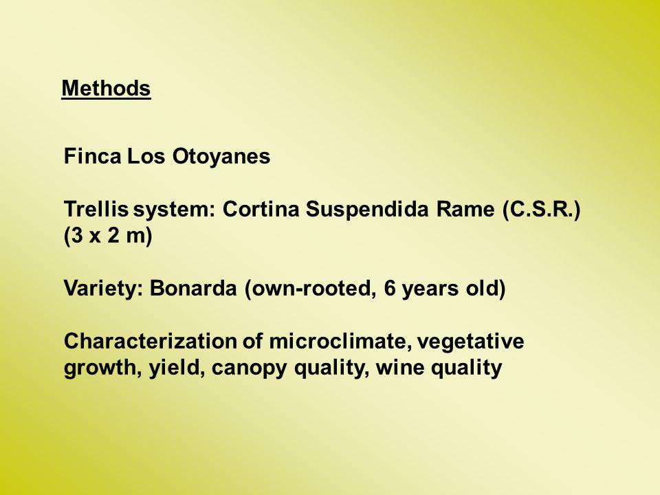 Methods Finca Los Otoyanes. Trellis system: Cortina Suspendida Rame (C.S.R.) (3 x 2 m) Variety: Bonarda (own-rooted, 6 years old)