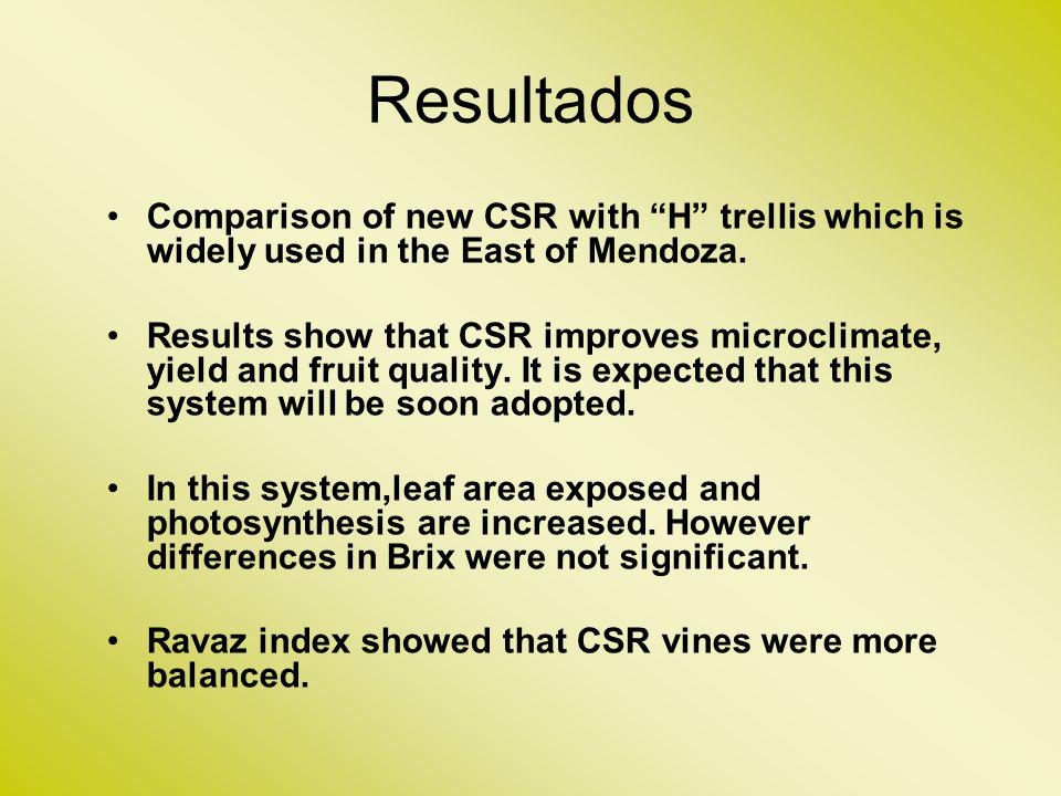 Resultados Comparison of new CSR with H trellis which is widely used in the East of Mendoza.