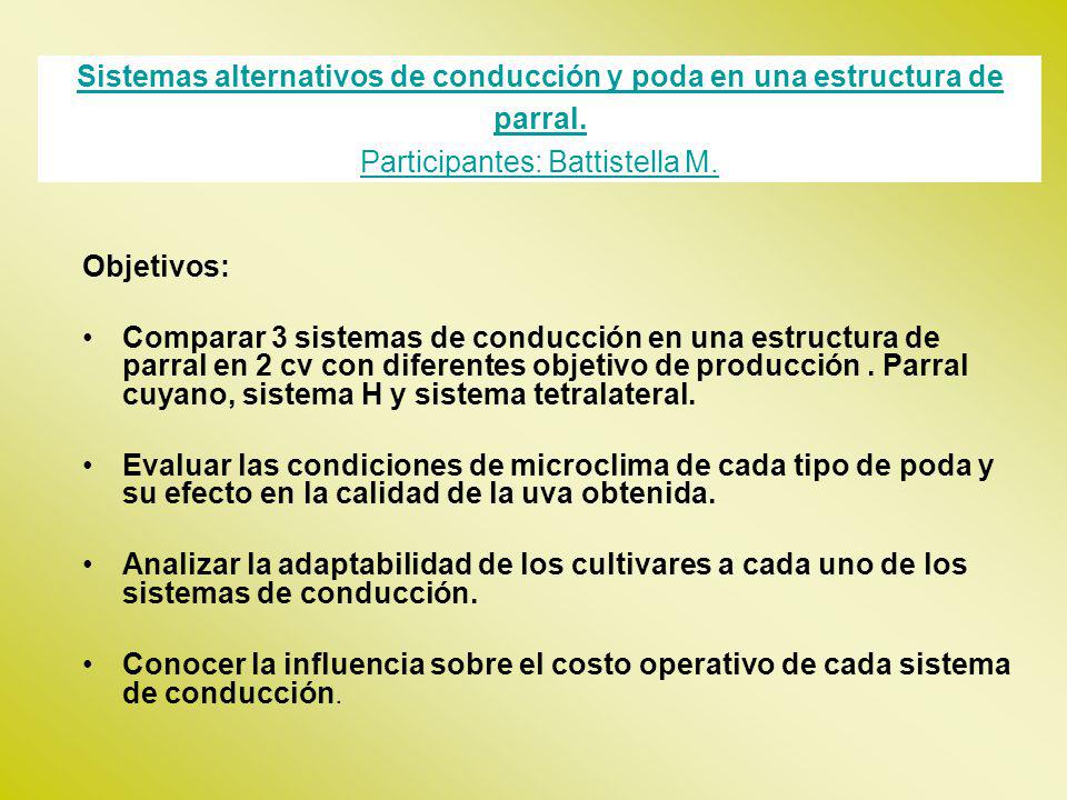 Sistemas alternativos de conducción y poda en una estructura de parral